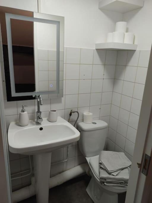 Studio Remois - Wifi/Netflix Remeš Exteriér fotografie